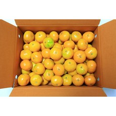 미소진 제주도 고당도 감귤, 감귤(대과), 3kg, 1개