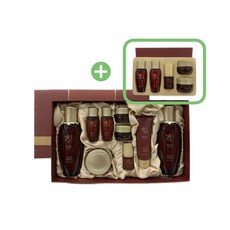 수려한 효비담 발효 3종 특별 기획세트 + 수려한 효비담 5종 기프트, 1세트