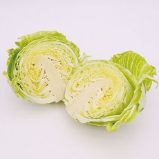 [산지직송/국내산/무농약] 아삭하고 달큰한 국내산 양배추 속이 꽉 찬 햇 양배추 "믿고 먹는 우리 농산물"(1 kg-1통/2 kg-1~2통/3 kg-1~3통), 1개, 1kg