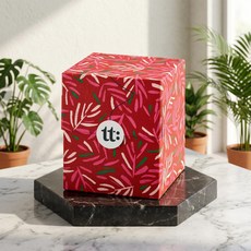 [티트라] 프루티하동 (10개입), 2g, 10개입, 1개