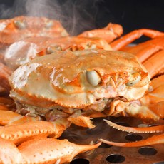 농가살리기 후포항 붉은대게 자숙홍게, 1세트, 특상품) 1.5kg(4-6미/살수율80%)