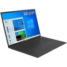 LG 그램 17Z90P 노트북 17인치 IPS 초경량 (2560 x 1600) 인텔 에보 11세대 코어 i7 16GB RAM 2TB SSD 업그레이드 가능한 윈도우 1, LG 그램 17Z90P 노트북 17인치 IPS 초경량,
