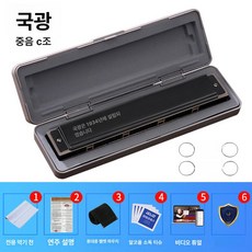 24홀하모니카 다성 하모니카 초보 악기, 1개, 블랙C조 중음, 기본 모델명/품번