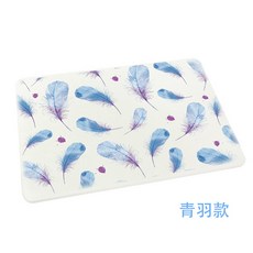 SGS檢驗 北歐風文青款 台灣製珪藻土地墊60x39 硅藻土腳踏墊 防潮 矽藻土FM0075, 1個, 鳥語花香