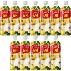 갈아만든배, 1L, 12개