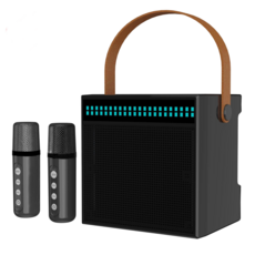 휴대용 가라오케 스피커 야외 노래방 기기 가정 및 야외 양용형, 블랙