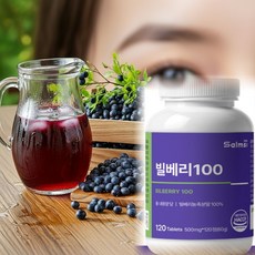 소피아랩 안구건조 눈관리 빌베리 500mg 정, 4개, 120정