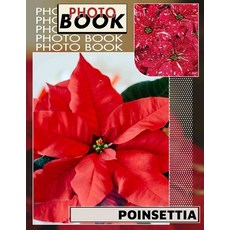 (영문도서) Poinsettia Photo Book: Beautiful Floral Imagery Featuring 40 Stunning Poinsetti... Paperback, Independently Published, English, 9798302913340