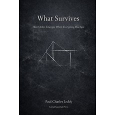 (영문도서)What Survives: How Order Emerges When Everything Else Fails Paperback, Independently Published, English, 9798242779716