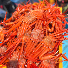 포항 구룡포 자숙 연지홍게 수율 70%내외 실속형, 1개, 3kg