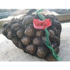 국산 피꼬막 1kg 17미내외 꼬막무침 꼬막찜용, 1kg x 1박스