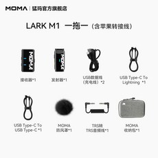 차량용 오존발생기 타이머 옐로우 시거잭 5g 생성 12V 오존기 오존살균기, C. AppleAnoid 11 연결 가능한 1인용 마이