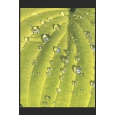 (영문도서) ...and Bits and Bits Paperback, Independently Published, English, 9798300456733
