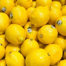 샘스 팬시 레몬 5과 레몬즙원액 레몬주스