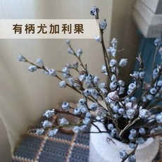 尤加利果乾燥花束 居家裝飾擺飾 聖誕佈置