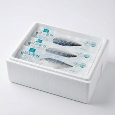제주산 순살 고등어 손질 냉동 고등어살 개별포장, 10개, 140~160g