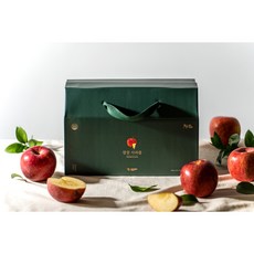 [프리미엄] 파과X 낙과X 특급사과 강원도 영월 부사원물로만 착즙한 깔끔사과즙 (100ml X 30포)