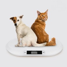 애구애구 강아지 고양이 동물병원 추천 체중계, 화이트