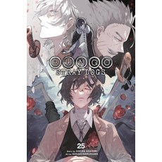 (영문도서)Bungo Stray Dogs Vol. 25 Paperback, Yen Press, English, 9798855415285