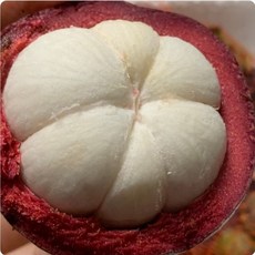 태국 생 망고스틴 500g 5~7입 [원산지:태국], 1개