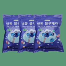 바이오로지스_대정 냉동 블루베리, 3개, 1kg