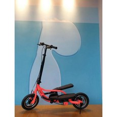 듀얼 자전거 서서타는 바이크 스탠딩 접이식 유산소 스피닝 워킹 운동 입식 홈트 싸이클 블랙, 12인치, 오렌지, 12인치