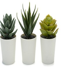 친친샾 페이카 인조화분 6cm 3개 조화화분