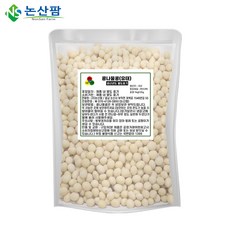 논산팜 2025년 국산 햇 콩나물콩 유태, 500g, 1개