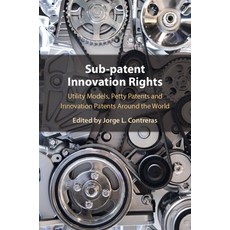 (영문도서) Sub-Patent Innovation Rights Paperback, Cambridge University Press, English, 9781009478090