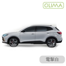 OLIMA 汽車補漆筆, 1個, 電掣白 HS專用
