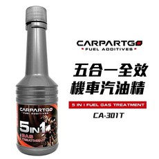 CARPARTGO 機車全效汽油精 燃油添加劑 除積碳 清洗噴油嘴 汽油添加劑 機車汽油精, 1個, 汽油