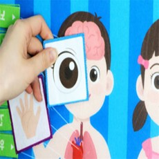 마음달빛 인체 학습 차트 친구출산선물, 1개