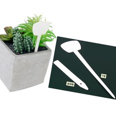 TW 식물 이름표 픽 네임택 화분꽂이 라벨 표시, T형, -