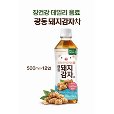 장건강 데일리 음료 광동 돼지감자차 500ml 프리바이오틱스 차, 24개