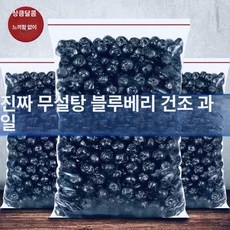 건조 블루베리 무첨가 영양 간식 당도높은 안토시아닌 눈건강, 1개, 500g