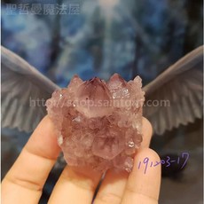 【土桑展精選寶物】仙人掌水晶 16-19號(Cactus Quartz) 南非, 1個, 191203-17