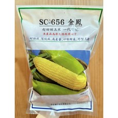 原包裝 1磅 最新批號 金鳳玉米 超甜甜玉米 金鳳甜玉米 金鳳超甜甜玉米 金鳳玉米種子 金鳳種子 玉米種子 甜玉米種子, 1個
