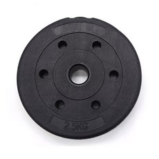 바벨 원판 중량 역기 플레이트 PVC, 1개, 2.5kg