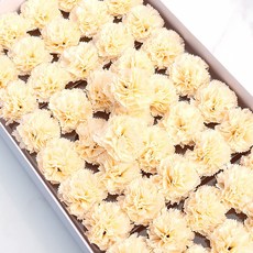 비누향기 꽃병 산소 플라워, 1각