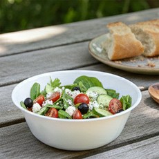 세나 휴대용그릇 13.5cm 10개 플라스틱밥그릇