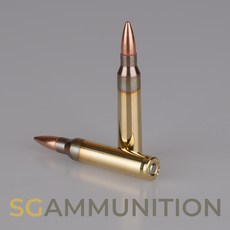 5.56mm 더미탄 (모형탄 모형총알 5.56더미탄), 선택안함, 선택안함(일반형)