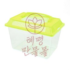 곤충 채집통 중형 투명사육통 미니 곤충학습 곤충사육통 벌레채집통