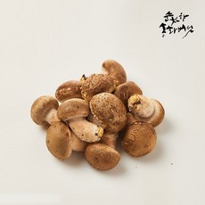 순천향 송화버섯 맛있는 국산 생 송화버섯 산지직송, 1박스, 순천향 송화버섯 미니: 1kg