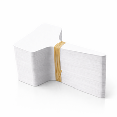 식물 이름표 화분 라벨 꽂이 6x10cm 대형 플라스틱 네임택, 화이트100개