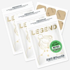 [본사직영] 라오메뜨 전설의패치 R 프리미엄 미니(소형) (구)이런시원한 파스, 3개, 60매입