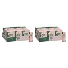 페리에 스파클링 미네랄 워터 포에버 자몽, 60개, 250ml