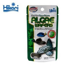 플레코 물고기 전용사료 20g 초식성어종 영양소 먹이sjl5+4Nye