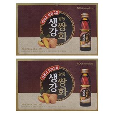 광동 생강쌍화 생강쌍화농축액, 120ml, 20개
