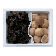 강진 버섯 선물세트 3호 생목이버섯 500g 생표고버섯 500g, 1개