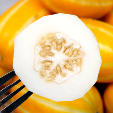 [하루100박스] 고당도 성주참외 산지직배송 1등농가, 1박스, 5kg